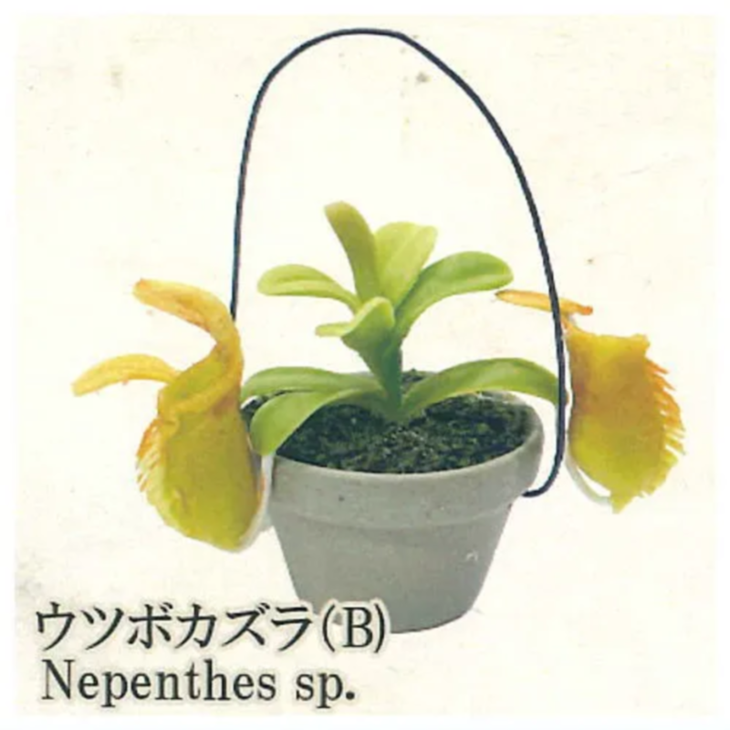 Japan Rainbow Gashapon Capsule - Capsule Toy Gashapon recension och pris