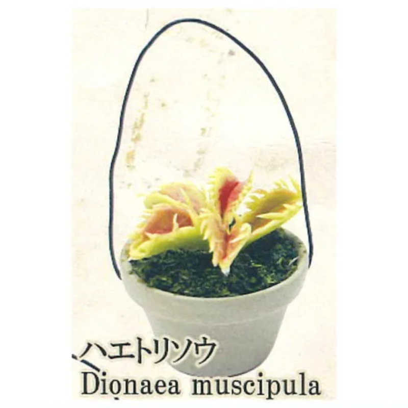 Japan Rainbow Gashapon Capsule - Capsule Toy Gashapon recension och pris